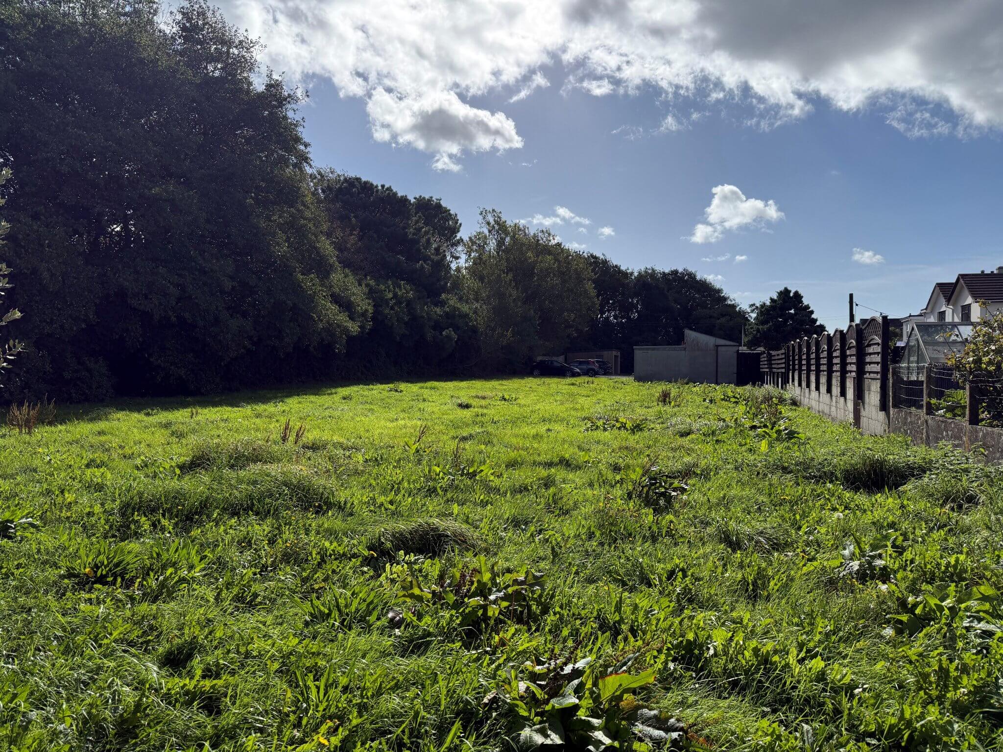 land at Tolvaddon Down, Tolvaddon
