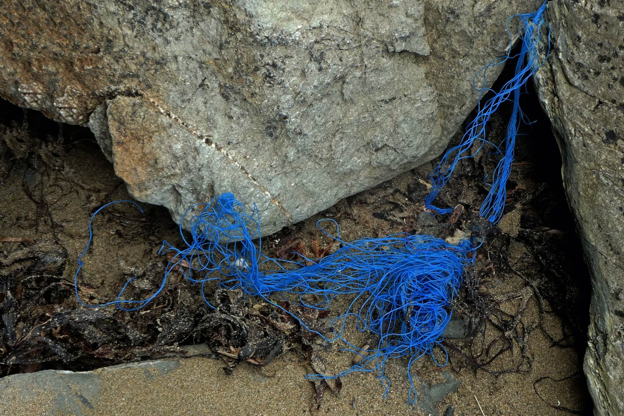 Blue fishing line tangled between rocks