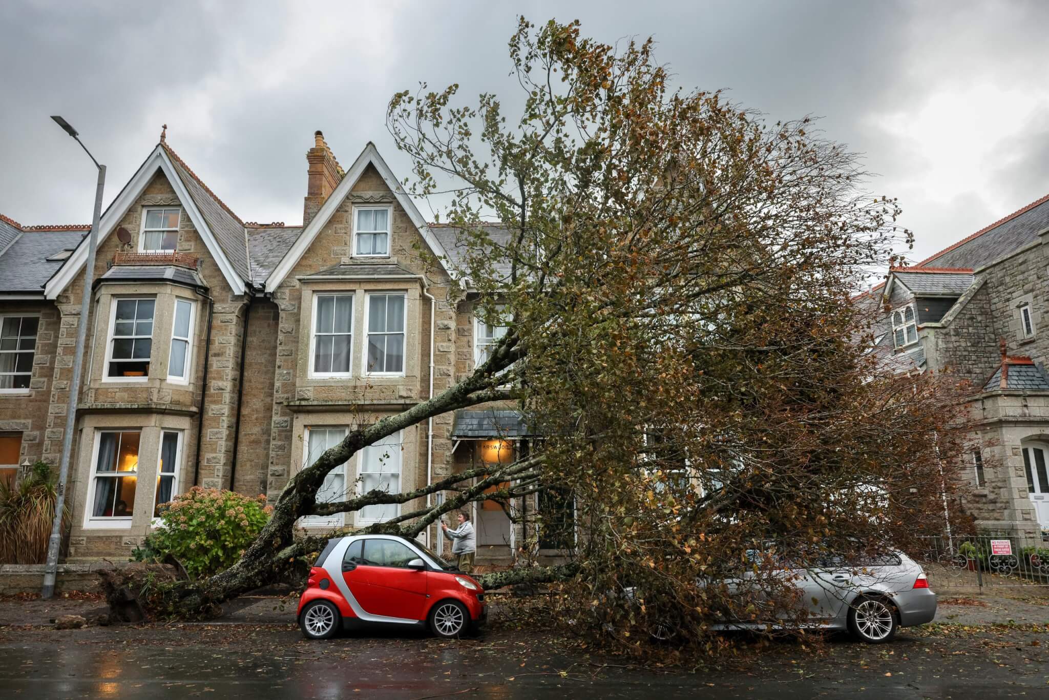 Fallen tree across parked cars on Alexandra Road, Penzance, during Storm Austen