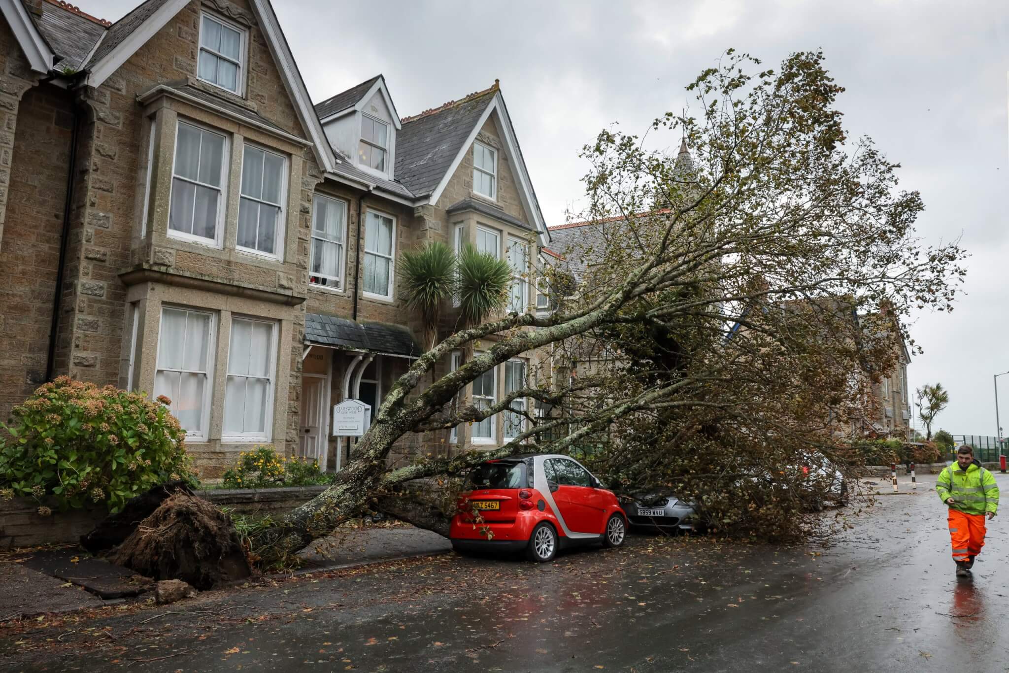 Uprooted tree lying across the pavement and a red car on Alexandra Road, Penzance