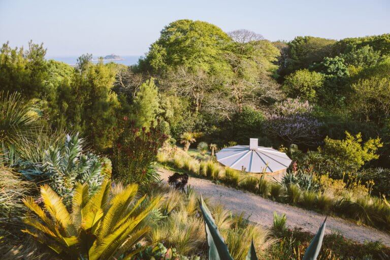Tremenheere's planted valley with St Michael's Mount in the distance