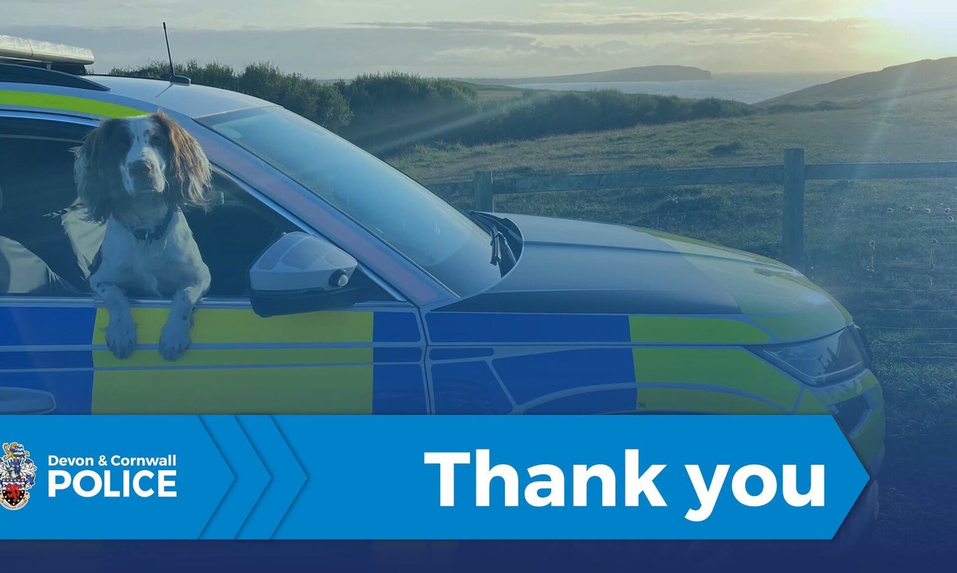 Police dog leaning out of a Devon and Cornwall Police car window with a thank you banner