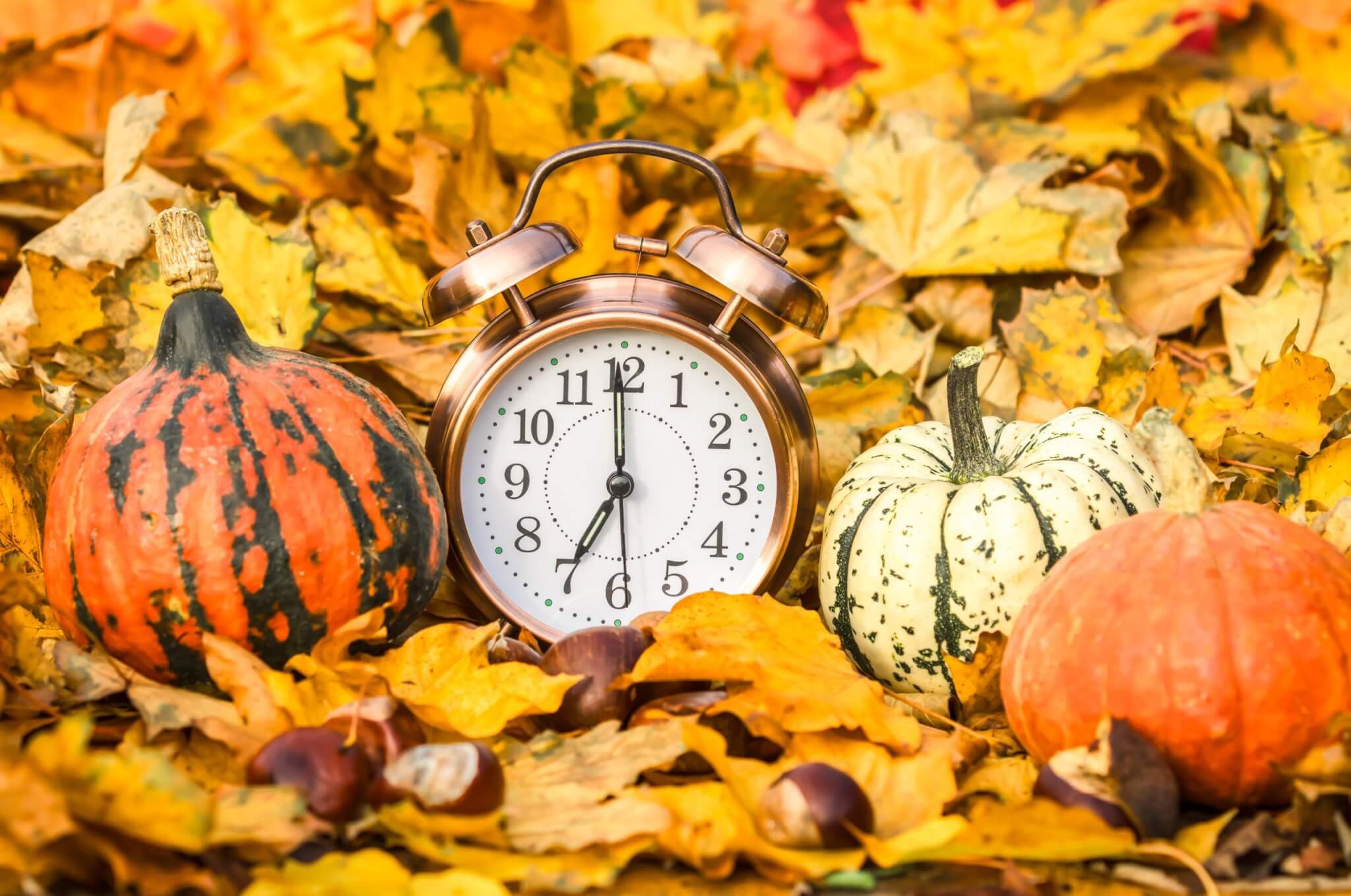 Vintage alarm clock among autumn leaves, pumpkins and conkers