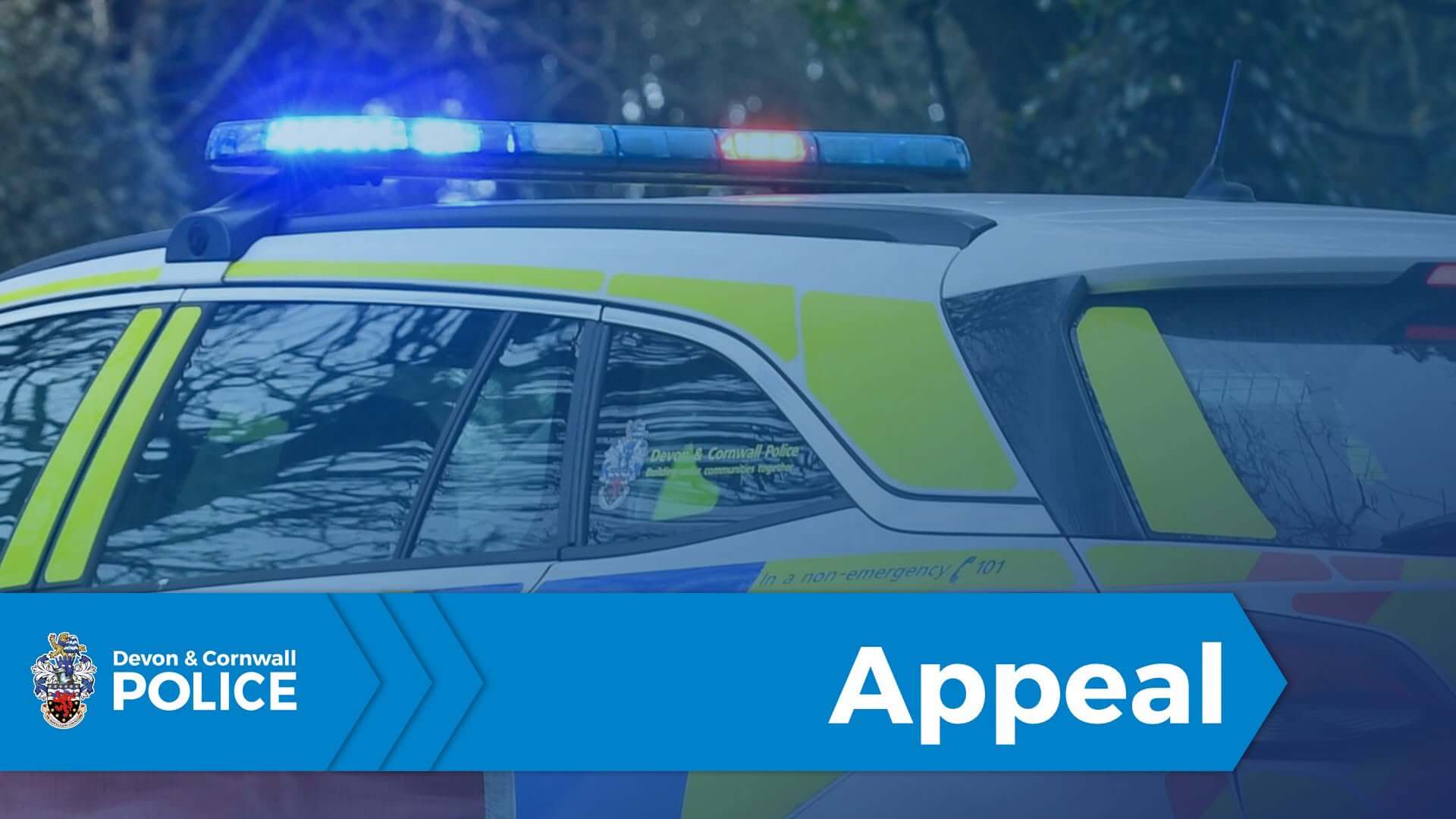 Devon and Cornwall Police appeal graphic