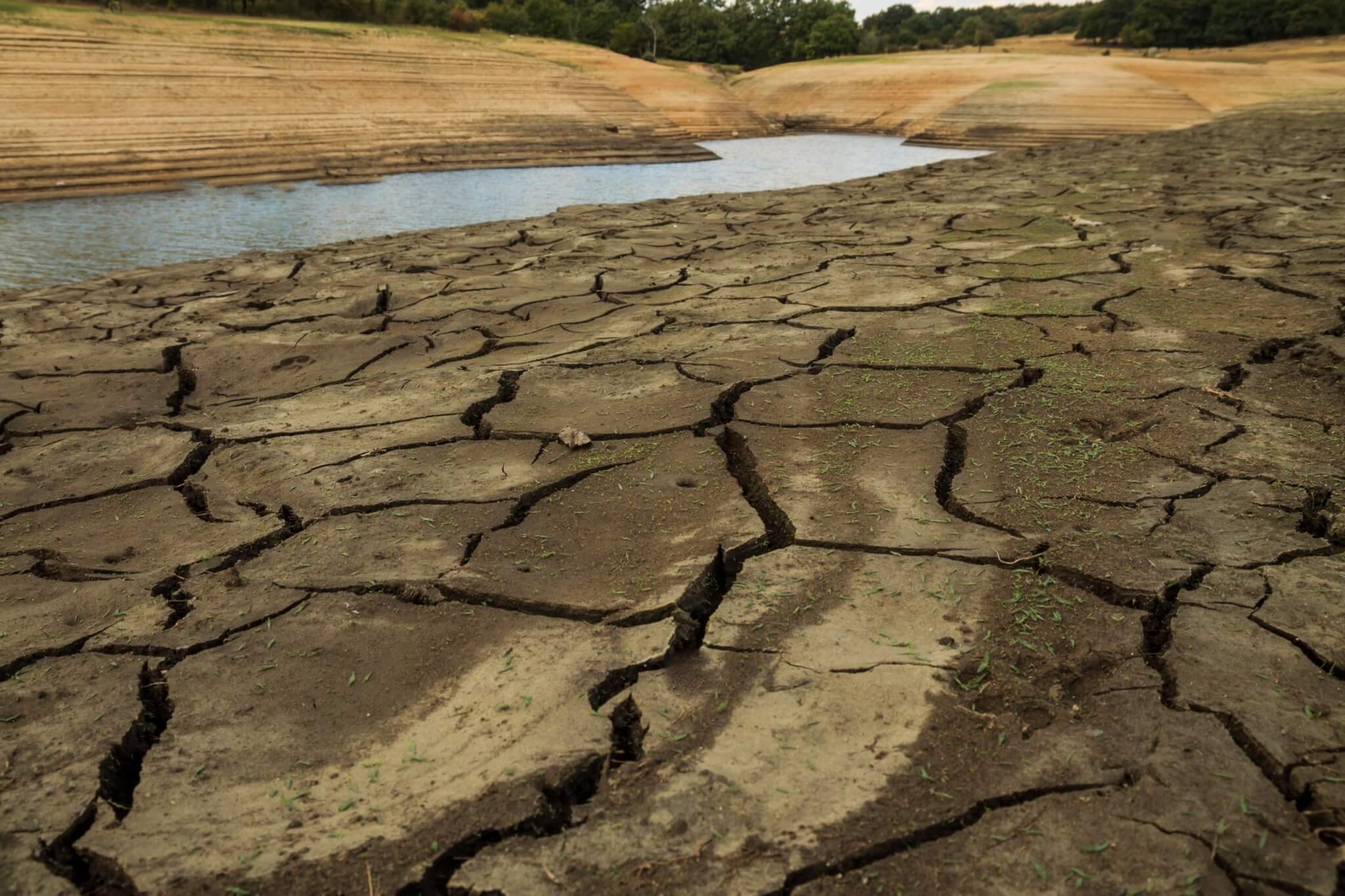Cracked mud on the exposed bed of a drought-hit reservoir