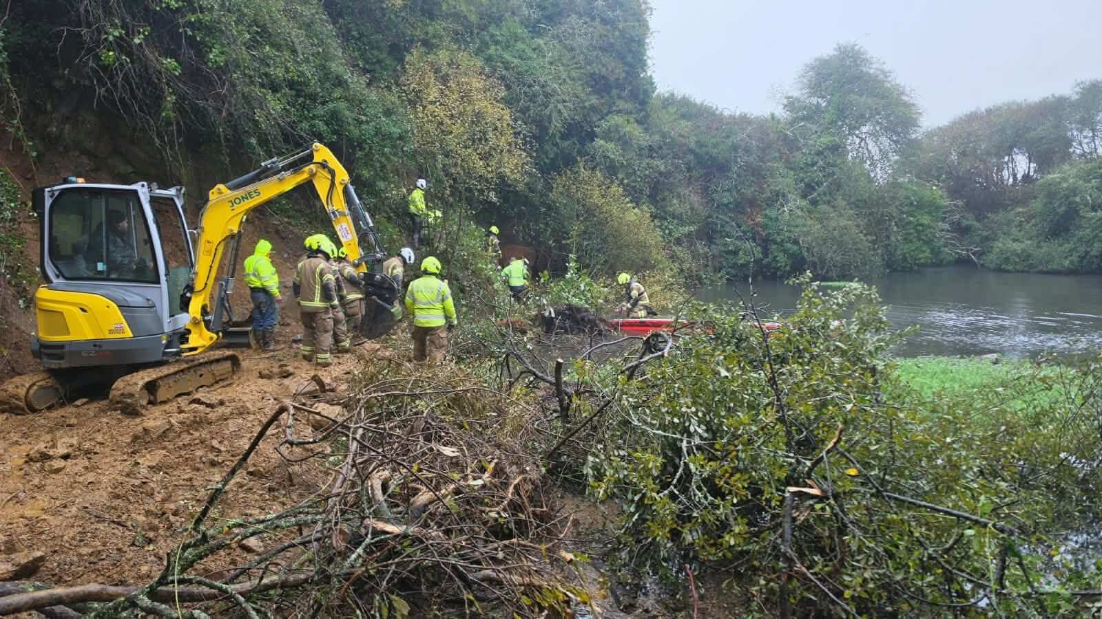 Firefighters and a mini digger clearing undergrowth beside water during a cow rescue