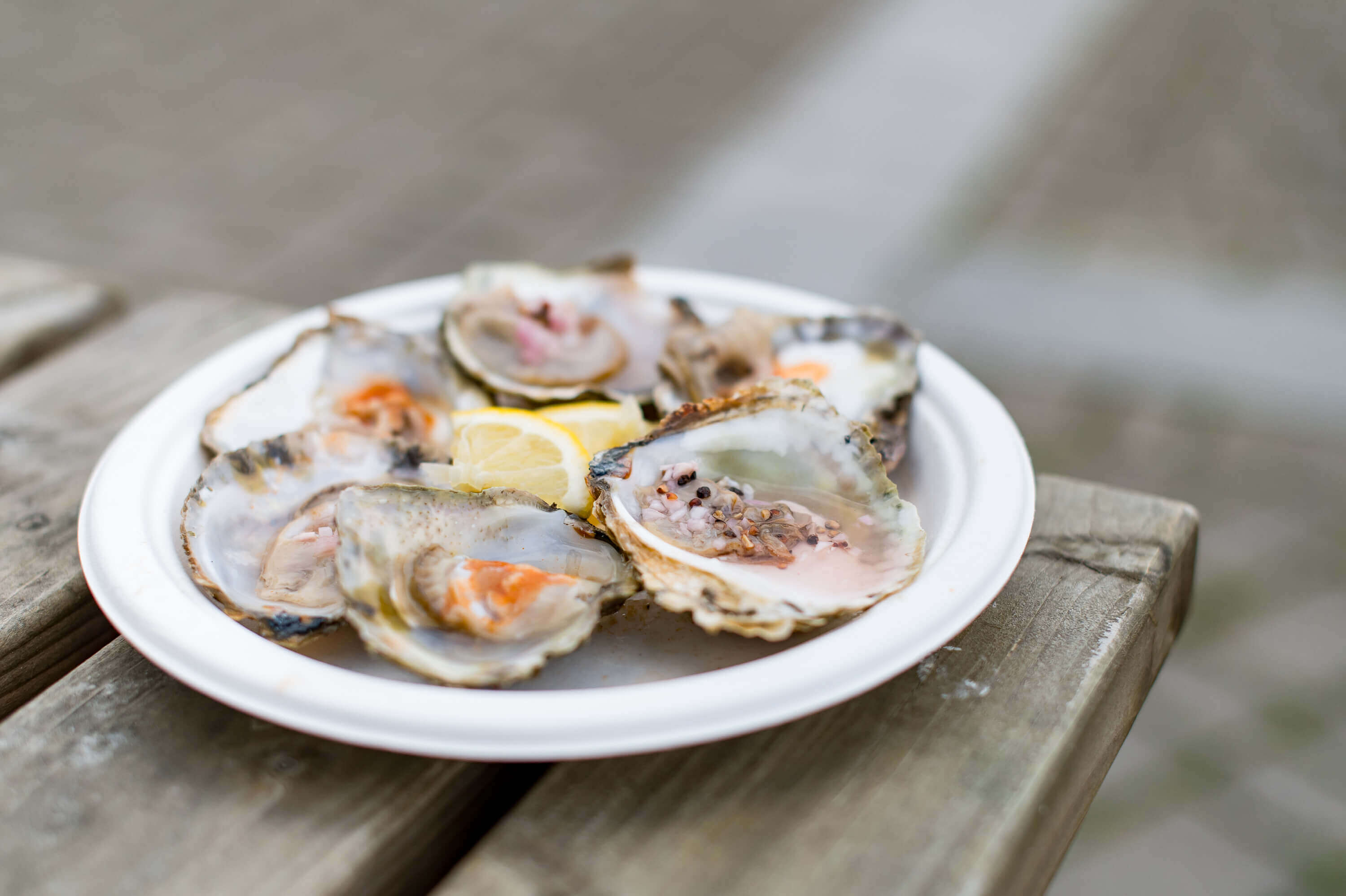 A plate of Falmouth native oysters with lemon