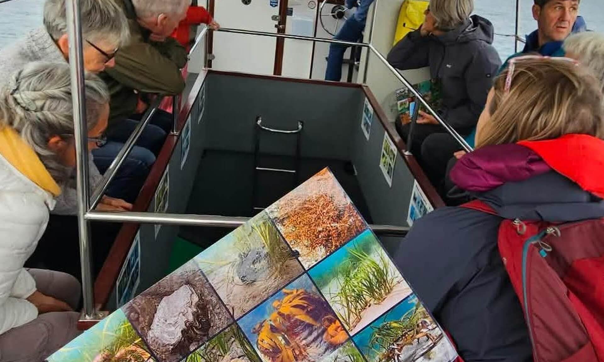 Looe Marine Conservation Group members on a glass-bottomed boat in Looe Bay with a seagrass identification sheet