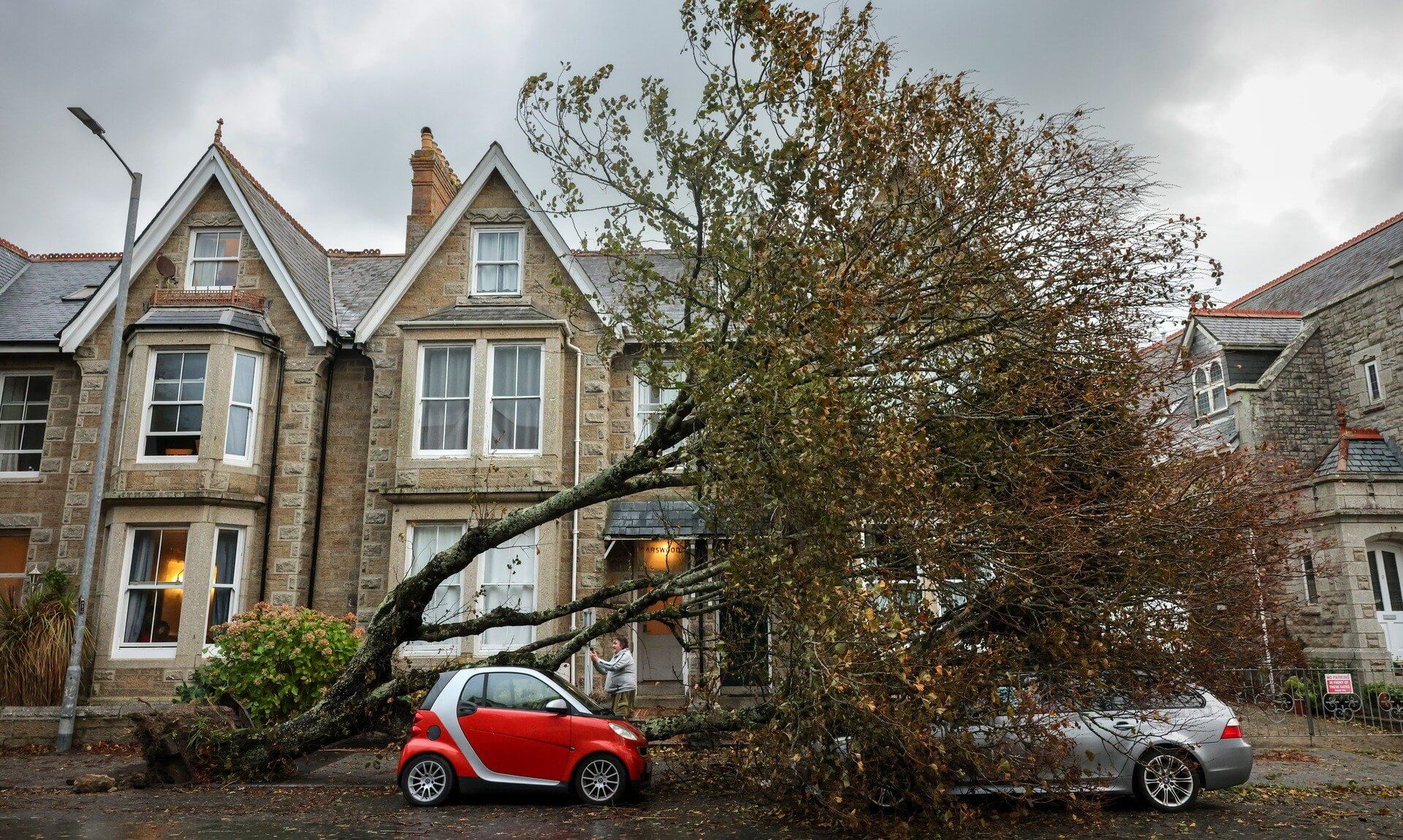Fallen tree across parked cars on Alexandra Road, Penzance, during Storm Austen