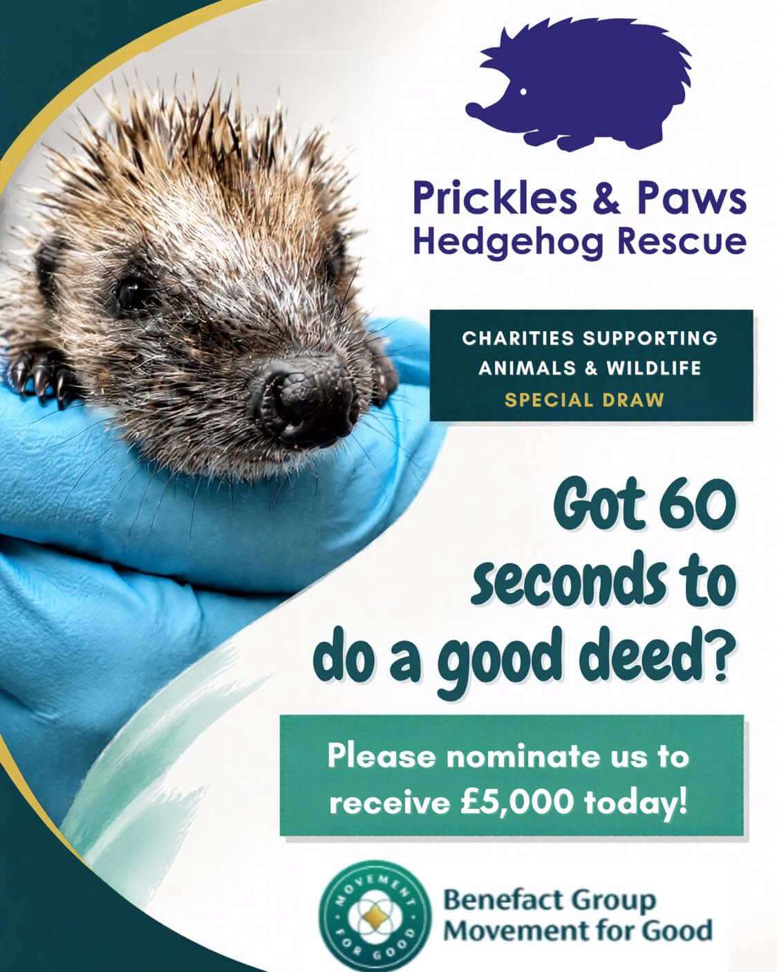 Prickles and Paws Hedgehog Rescue appeal graphic asking for nominations for a £5,000 Movement for Good award