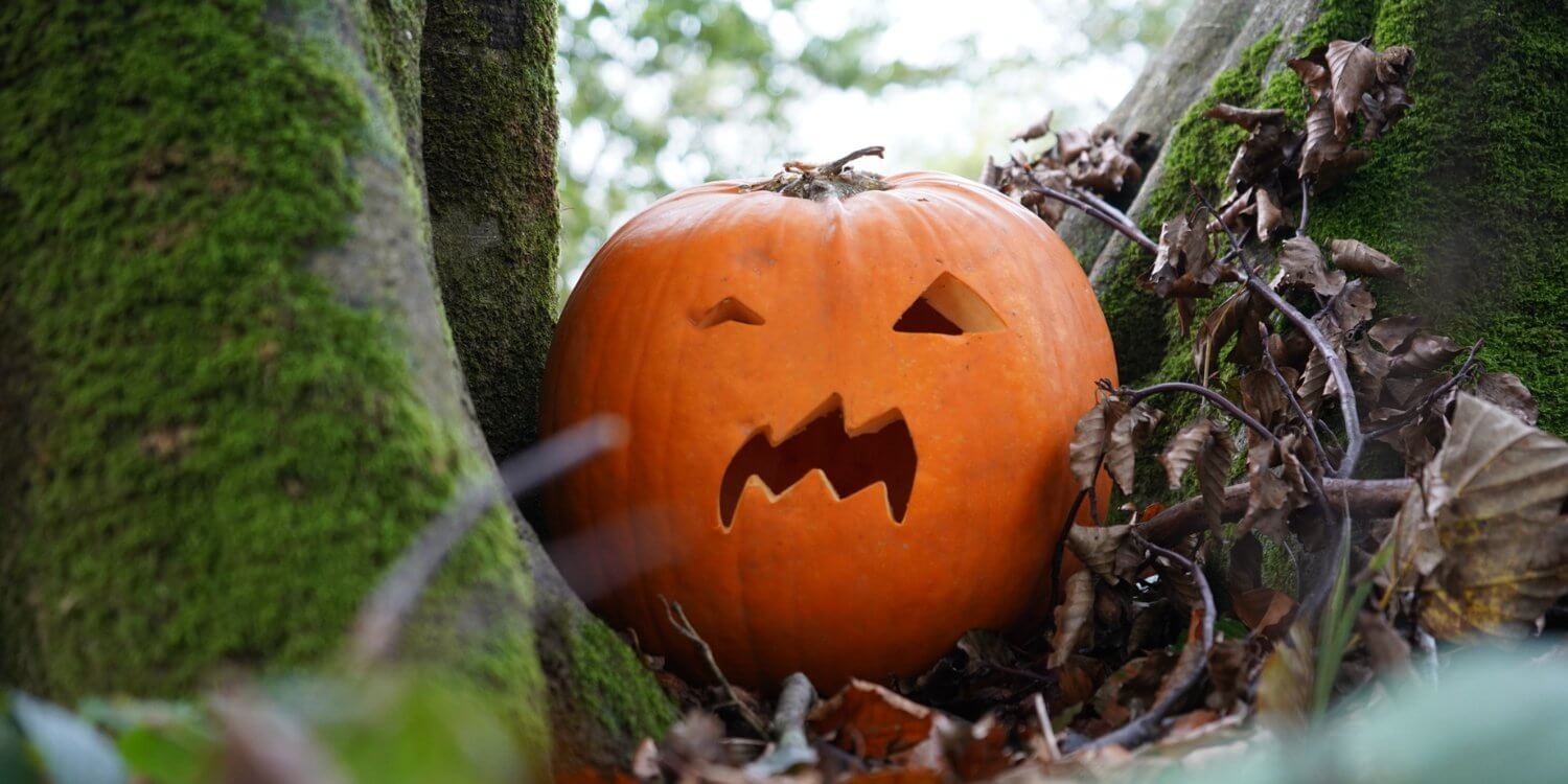 Carved pumpkin among mossy tree roots and fallen leaves