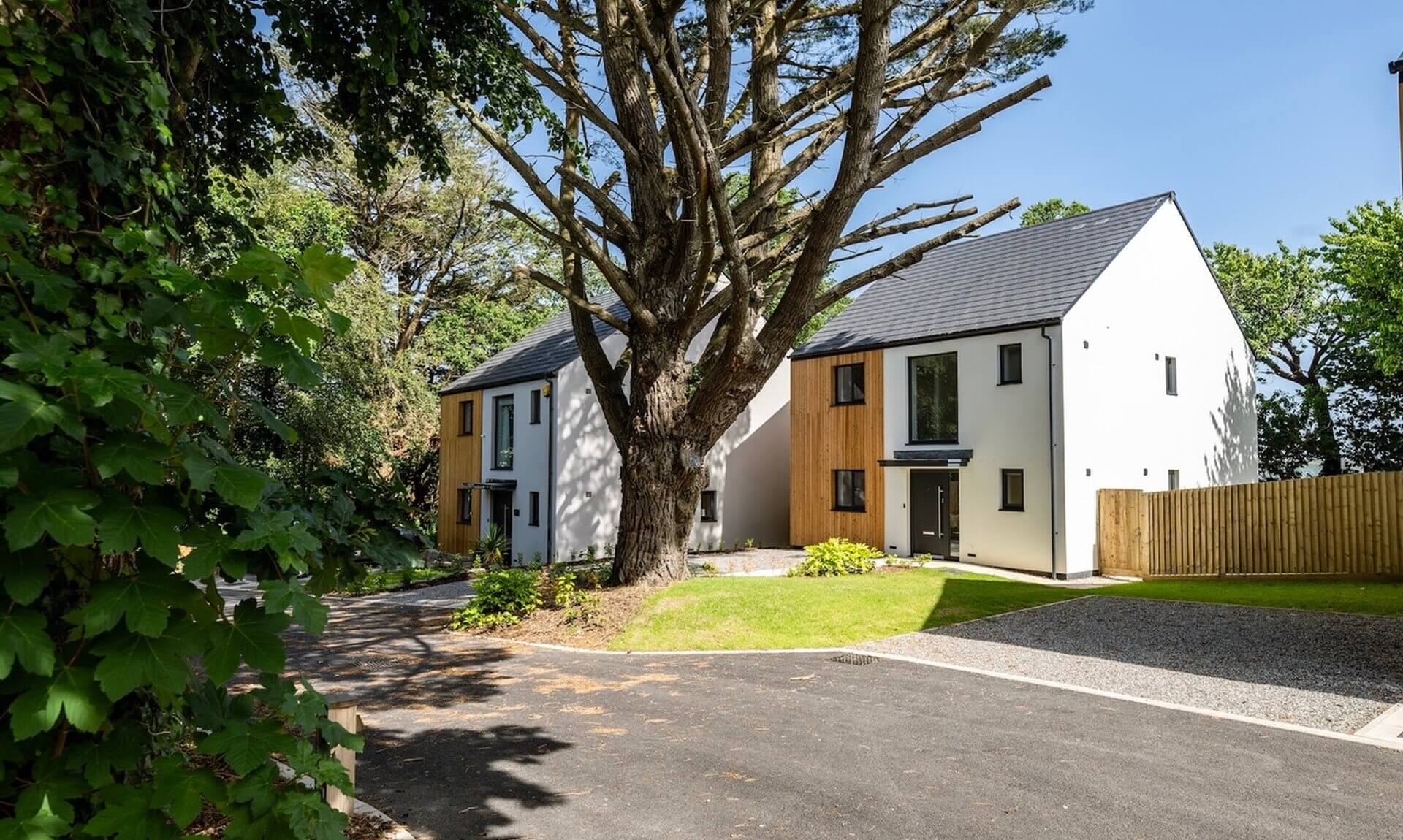 Two new homes either side of a mature tree at Roselyon in Par