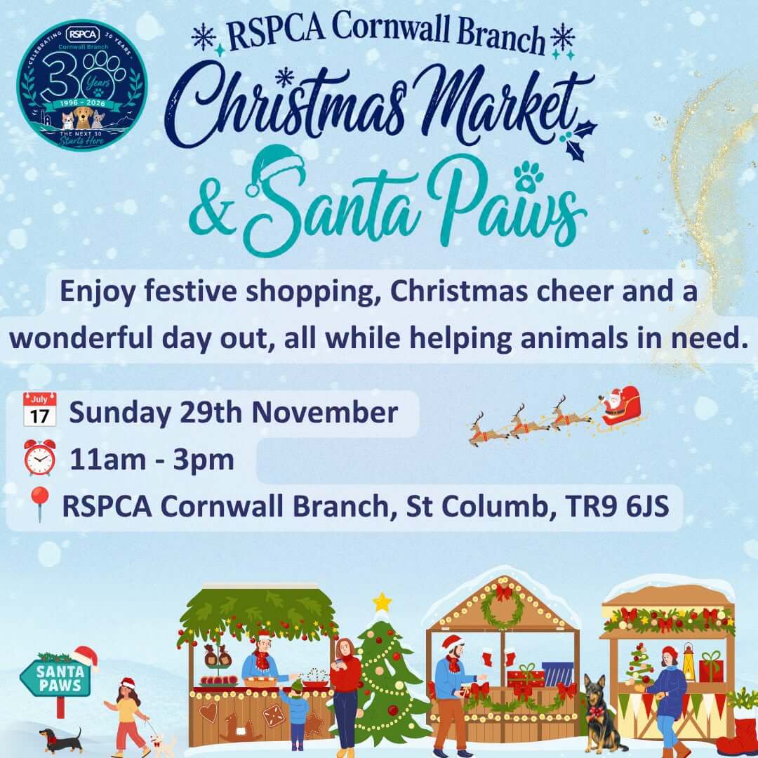RSPCA Cornwall Branch Christmas Market and Santa Paws poster