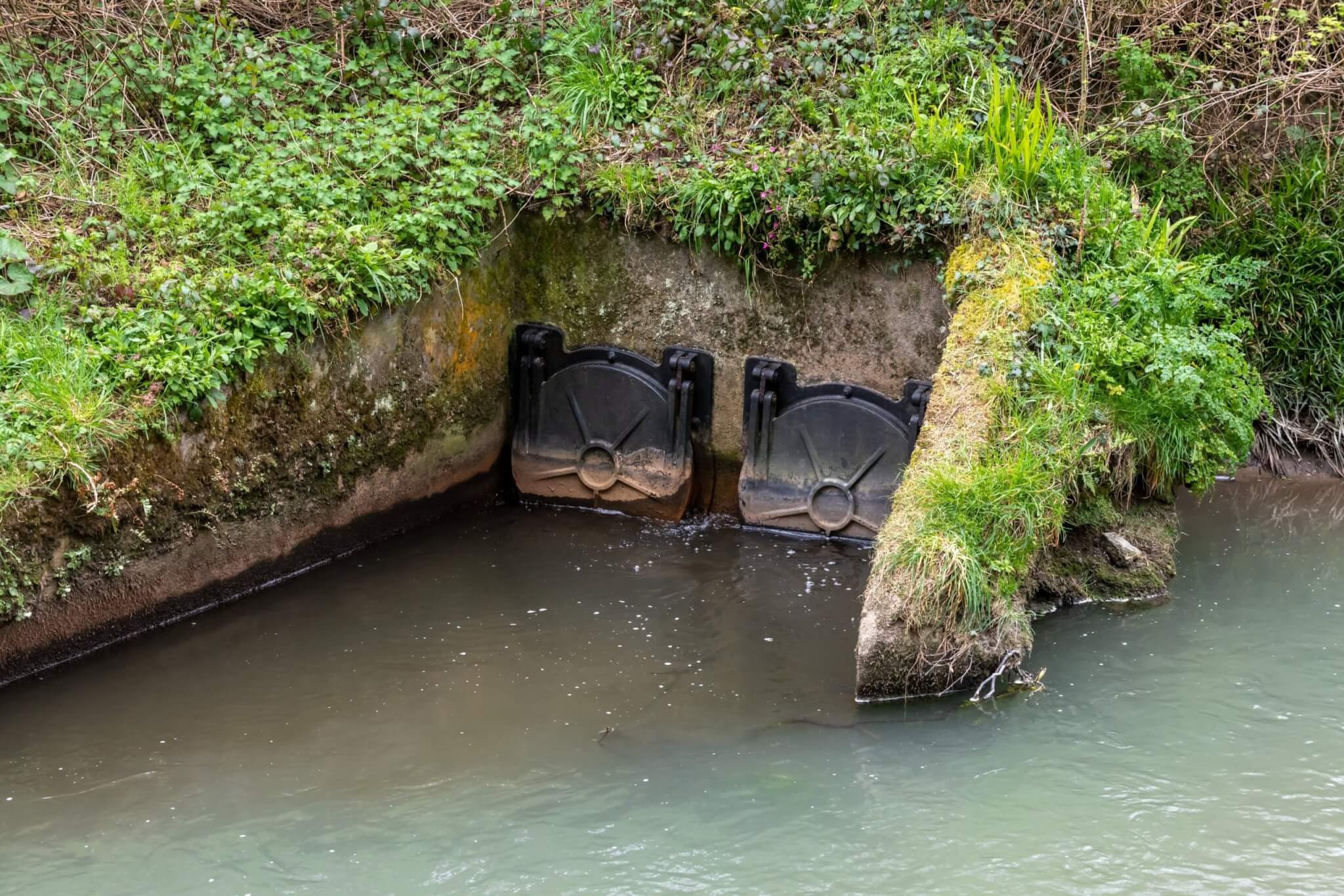 Sewer outfall with flap valves on a riverbank