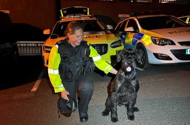 A Special Constable with a police dog beside police cars
