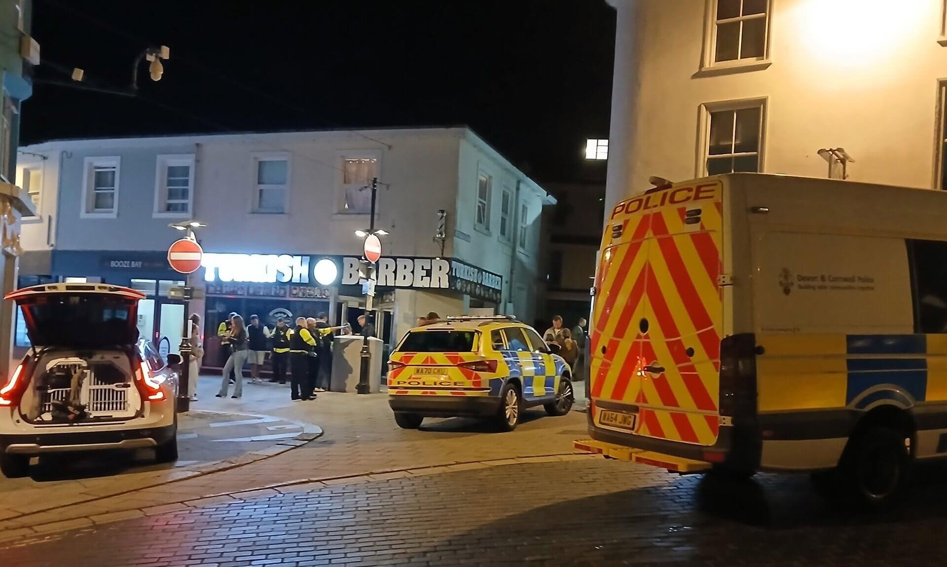 Police vehicles and a dog van in St Austell town centre at night