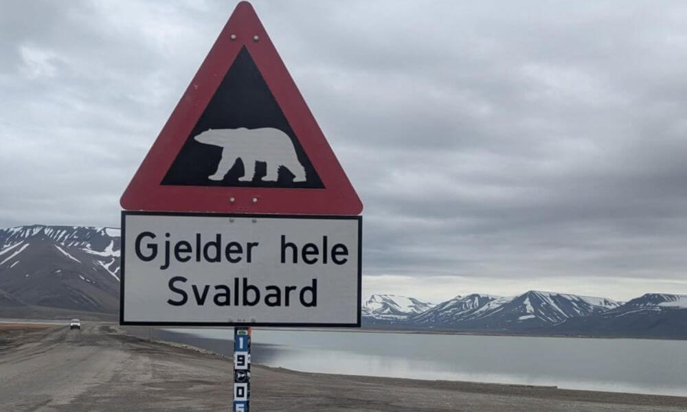 Polar bear warning sign in Svalbard