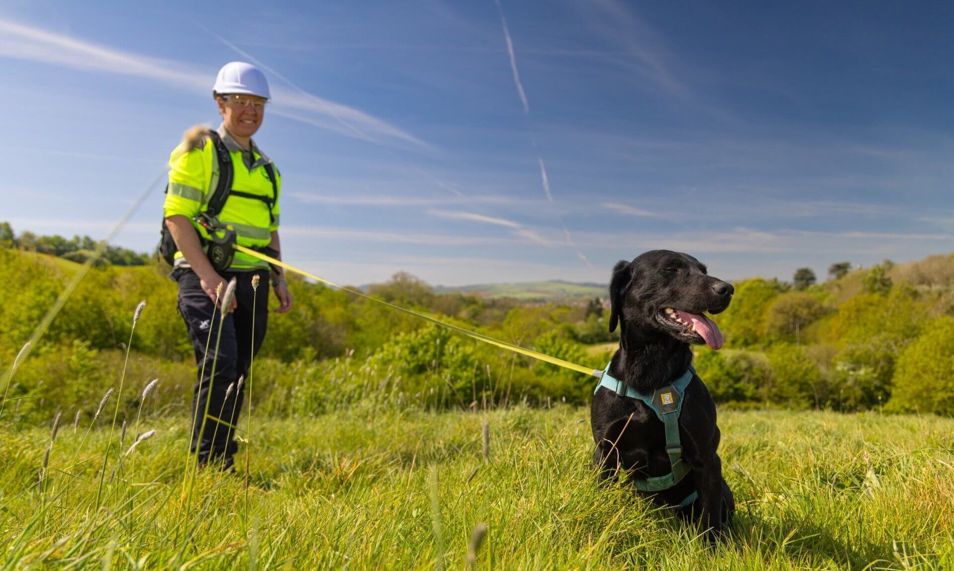 South West Water leak detection technician in hard hat and hi-vis with a black dog on a lead in a grassy field