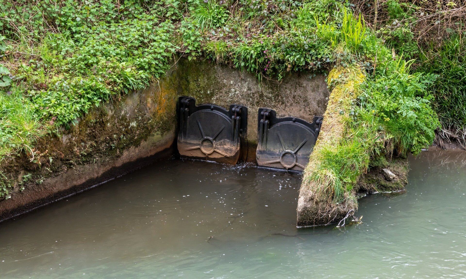 Sewer outfall with flap valves on a riverbank
