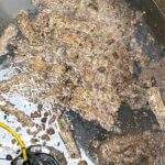 Fats, oils and grease clogging a wastewater tank