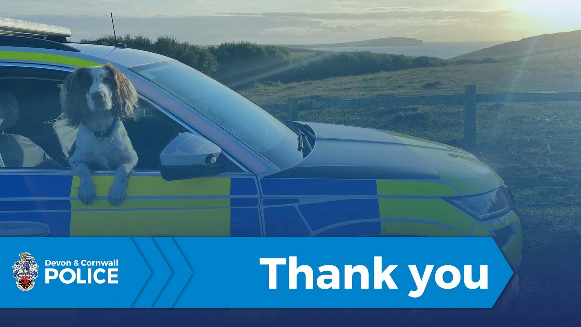 Police dog leaning out of a Devon and Cornwall Police car window with a thank you banner