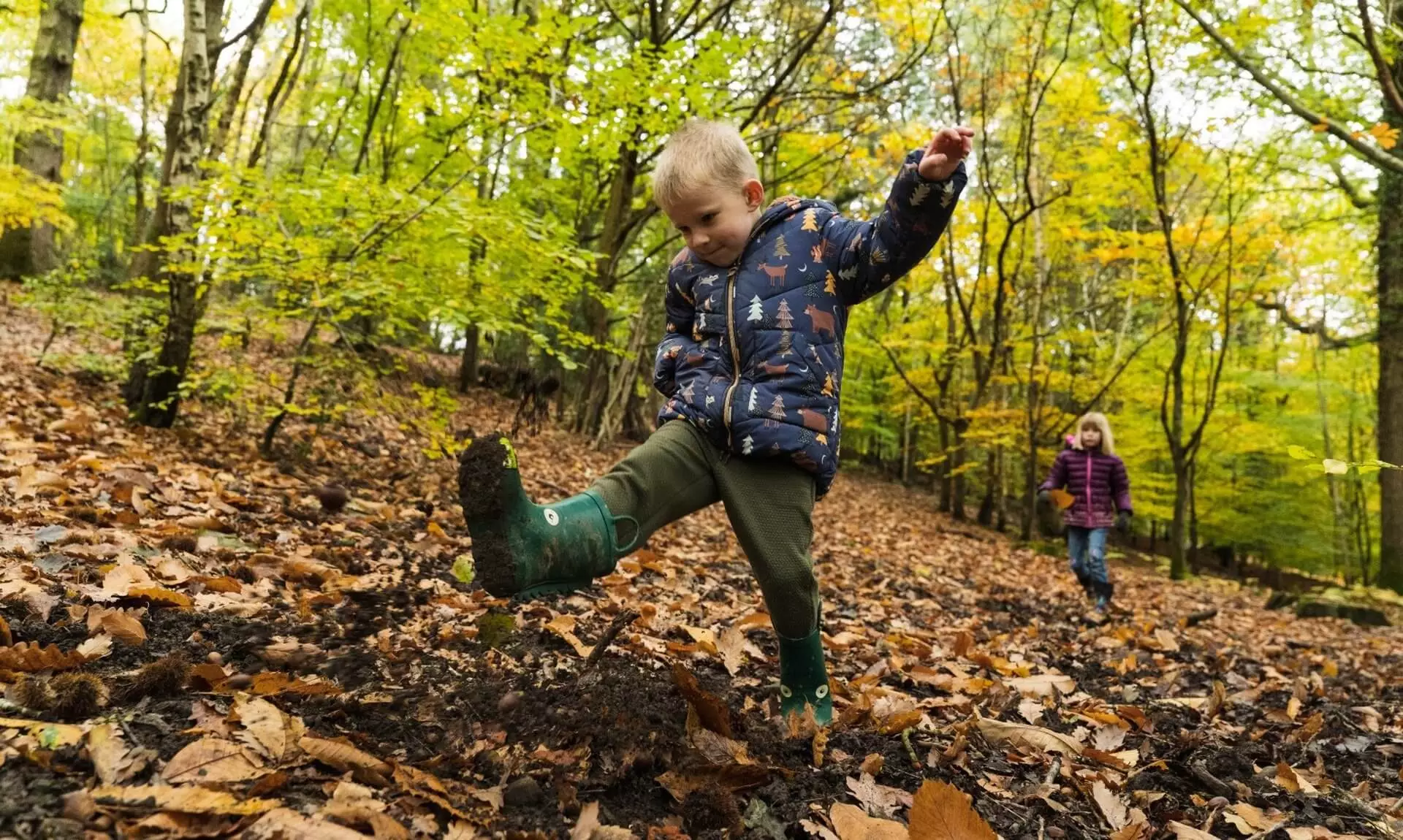 A child kicking up autumn leaves in the forest