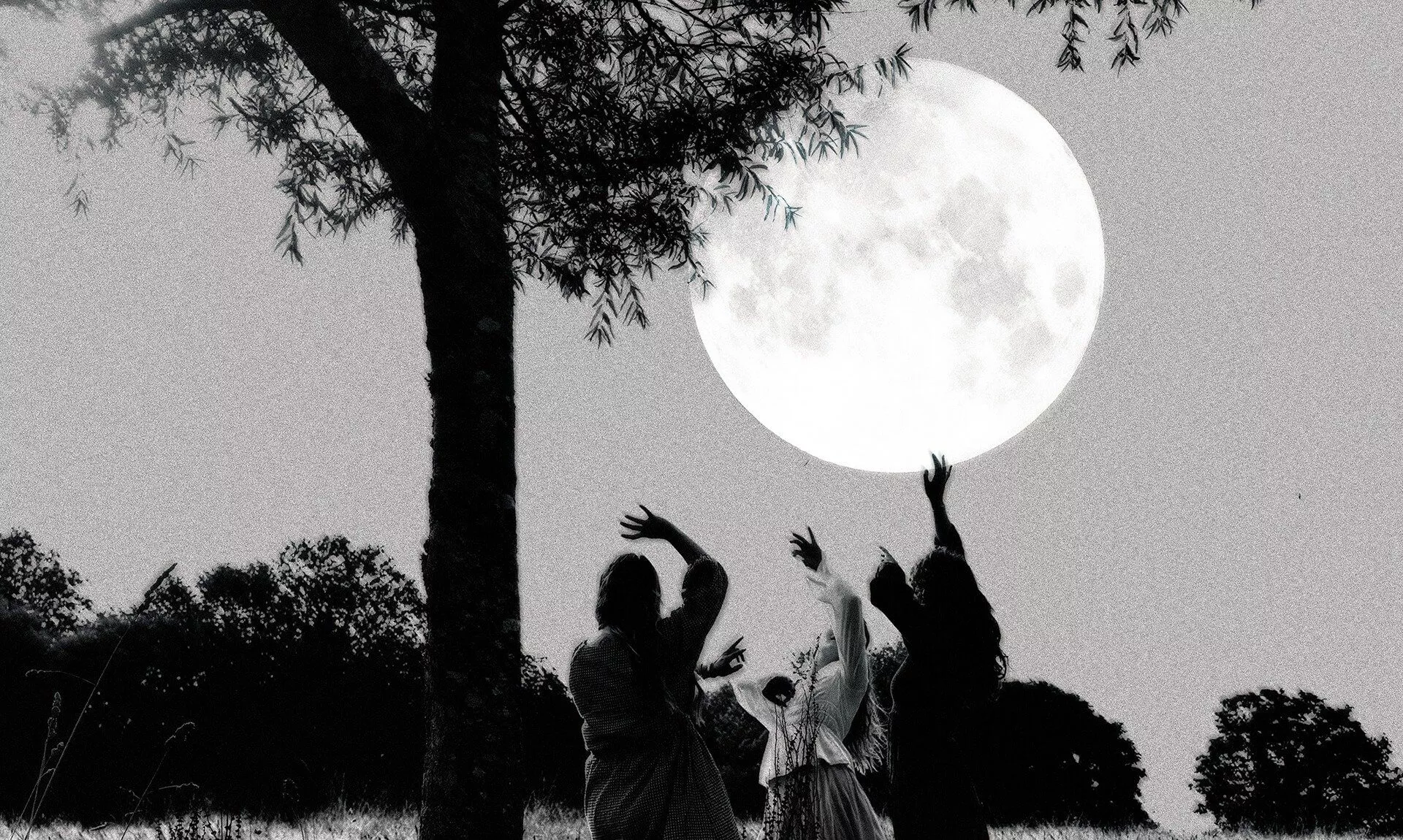 Three figures reaching up towards a full moon beneath a tree in a field