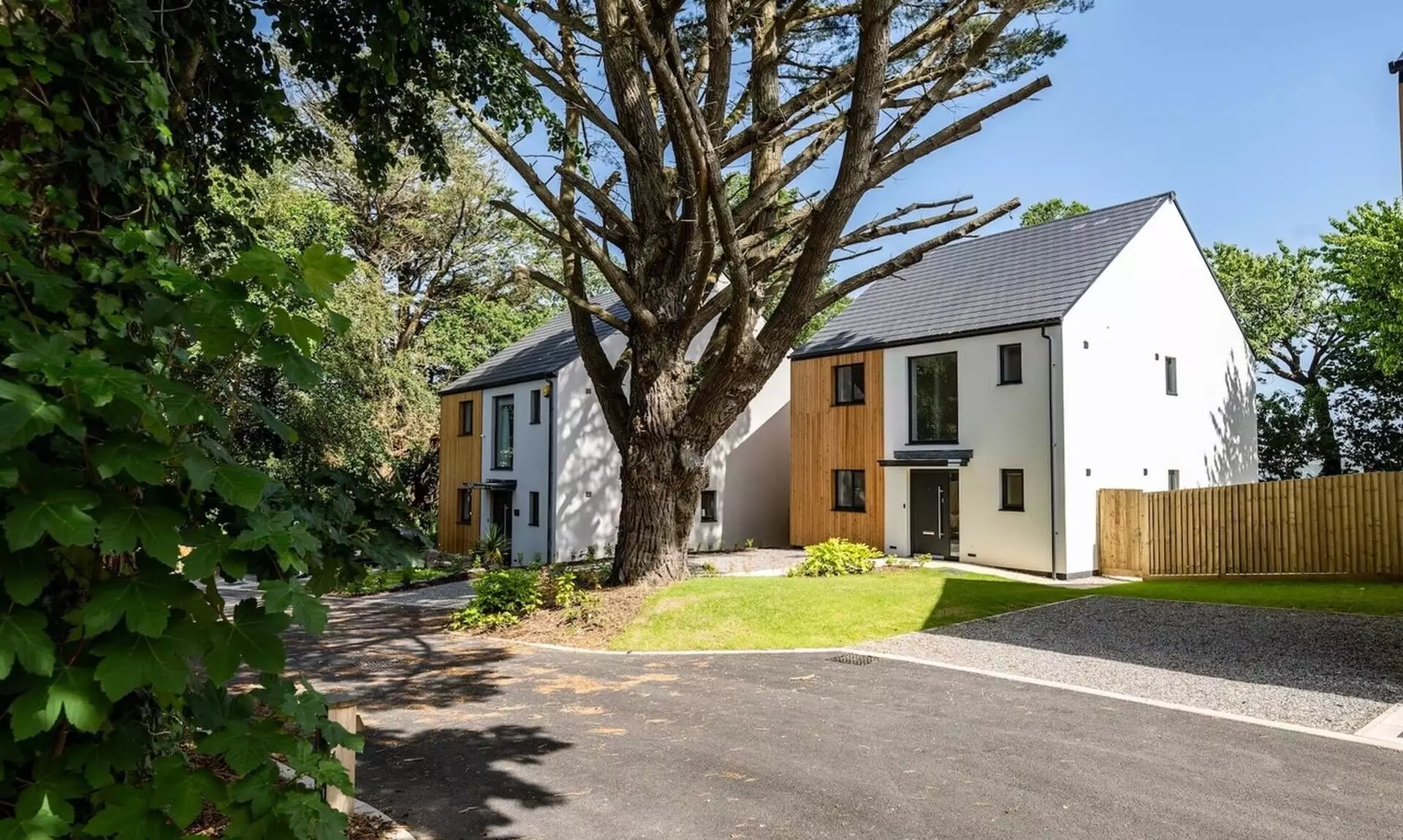 Two new homes either side of a mature tree at Roselyon in Par