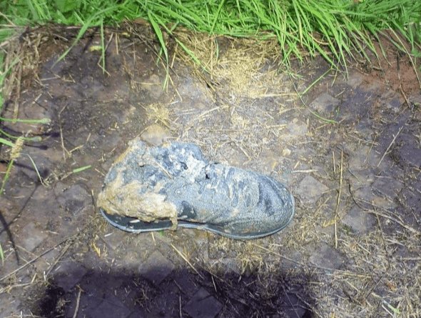 Lone shoe recovered from a sewer
