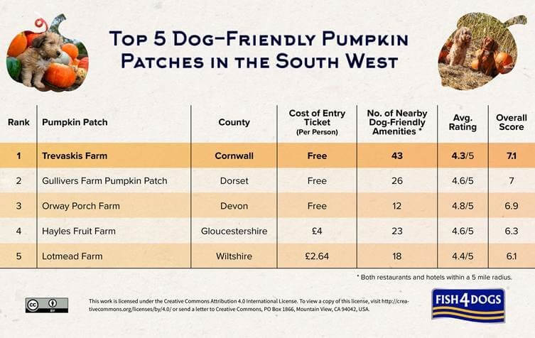 Table of the top five dog-friendly pumpkin patches in the South West